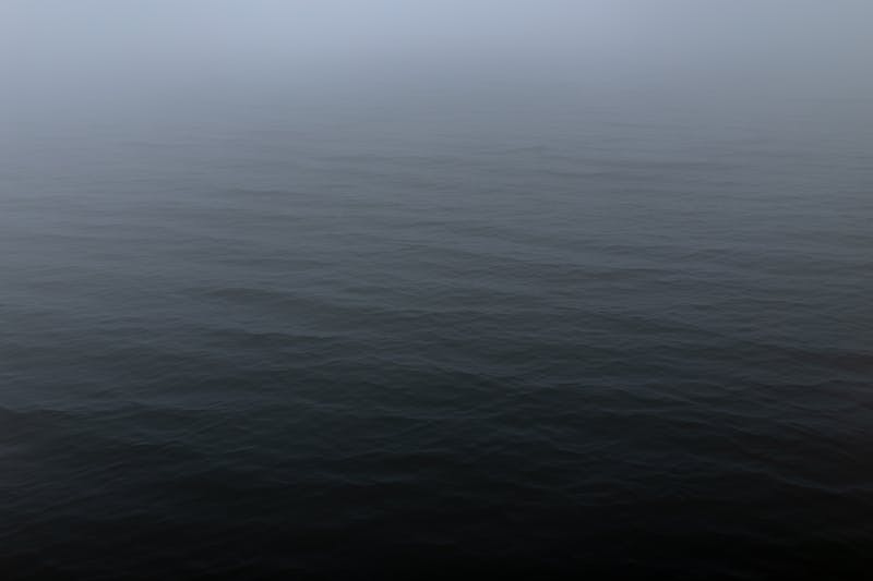 Elegant high bun wedding style